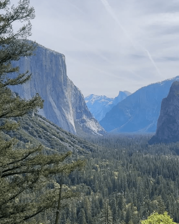 Post Birthday Update